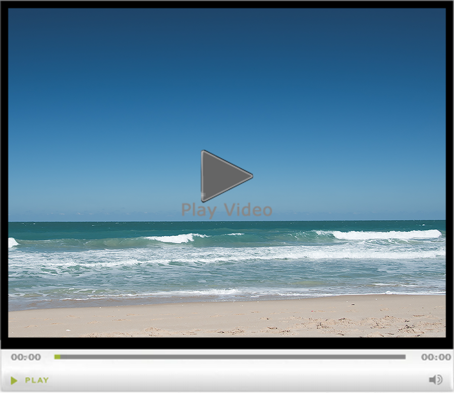 Webcam Watch the Jetty and Surf Florida State Parks